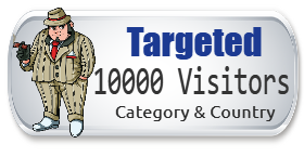 10,000 Targeted Visitors 10,000 Targeted Visitors
